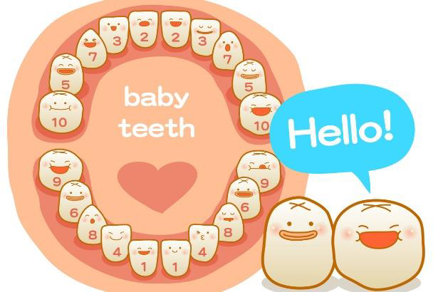 Baby teeth