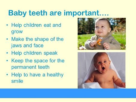 Important roles of baby teeth