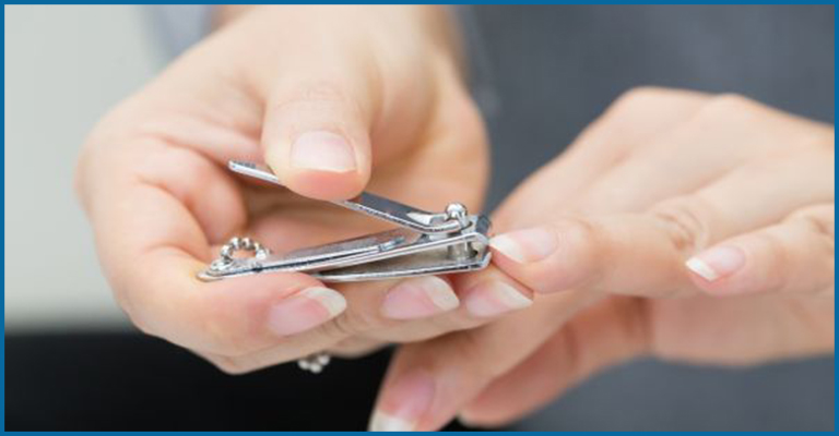 nail cutter